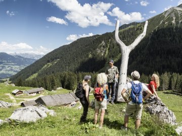 Gauertaler-Alpkultour-Montafon-Tourismus-Andreas-Haller-9.jpg