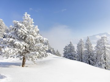 winterwandern-bartholomaberg-montafon-tourismus-gmbh-stefan-kothner-157983.jpg