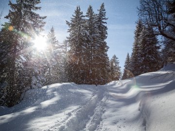 Winterwanderung-Bartholomaeberg-Montafon-Tourismus-Andreas-Haller-001.jpg